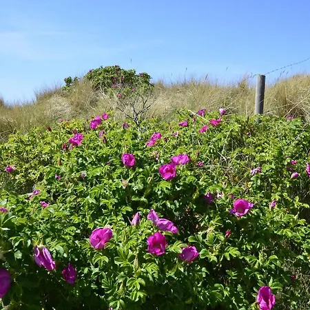 Apartmán Feskerhues, Bounty